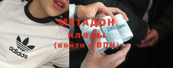 прущие грибы Балахна