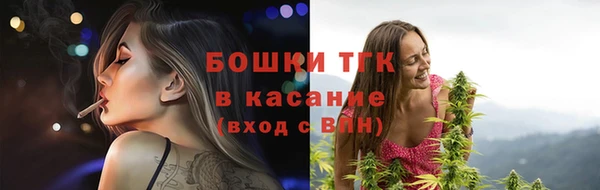 гашик Заводоуковск