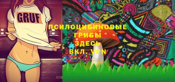 марки nbome Белокуриха