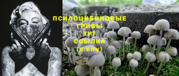 трава Беломорск