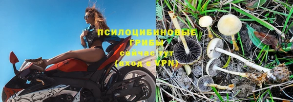 трава Беломорск