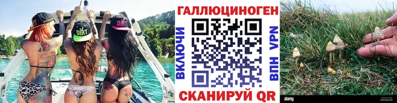дарк нет клад  Реутов  Псилоцибиновые грибы Magic Shrooms  наркотики 
